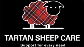 Tartan Sheep Care