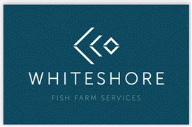Whiteshore Cockles Ltd